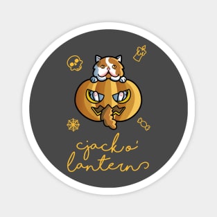 Jack o' Lantern Cat Magnet